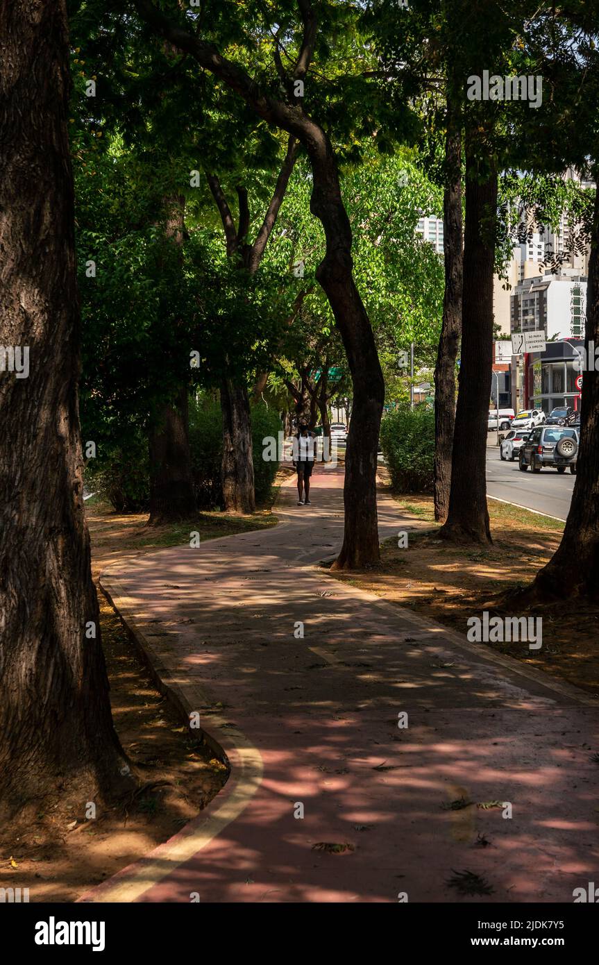 Une courte section tordue de la piste cyclable qui court sur la bande médiane de l'avenue Sumaare entourée de grands arbres et de végétation verte en une journée ensoleillée Banque D'Images