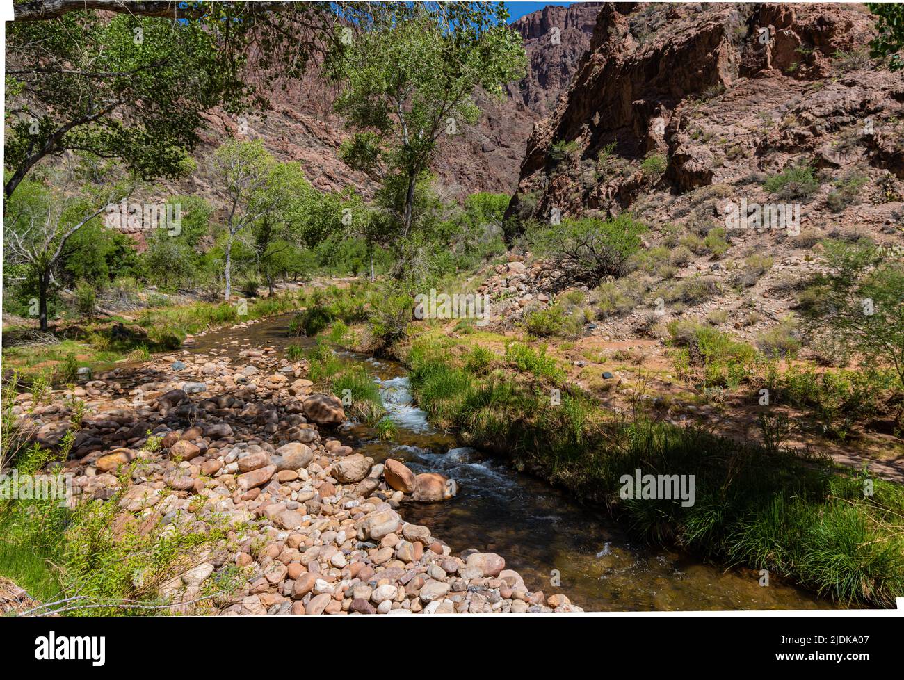 Bright Angel Creek près du terrain de camping Bright Angel, parc national du Grand Canyon, Arizona, États-Unis Banque D'Images