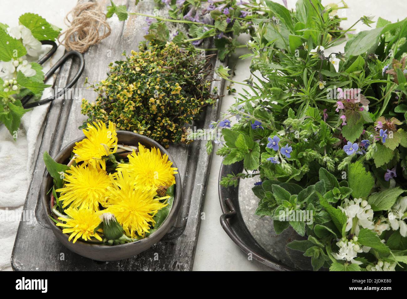 Plantes et fleurs comestibles sur fond clair. Herbes sauvages comme sources de caroténoïdes. Banque D'Images