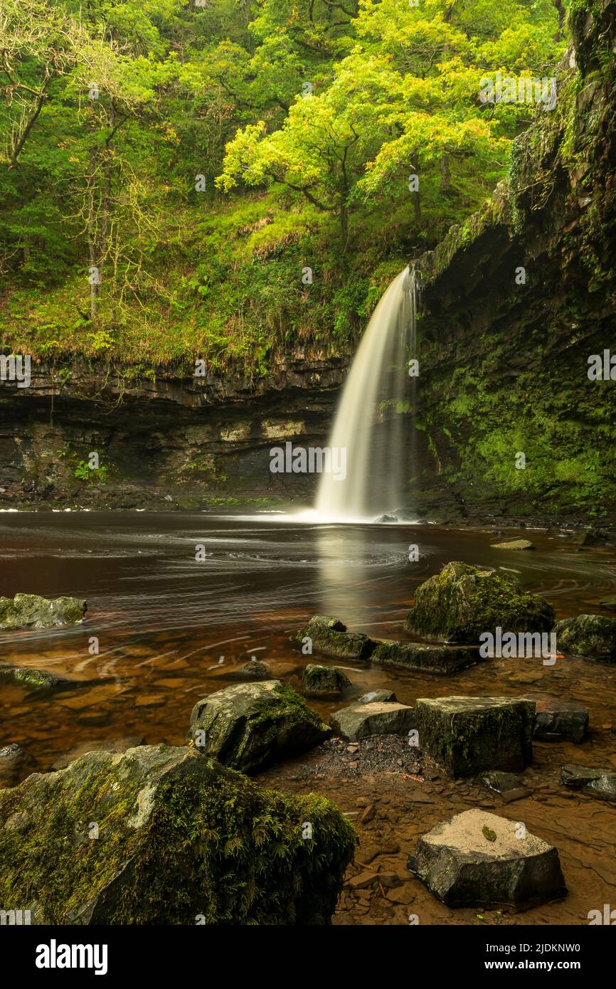 The Lady Falls - Sgwd Gwladius, Breacon Beacons, pays de Galles, Royaume-Uni Banque D'Images