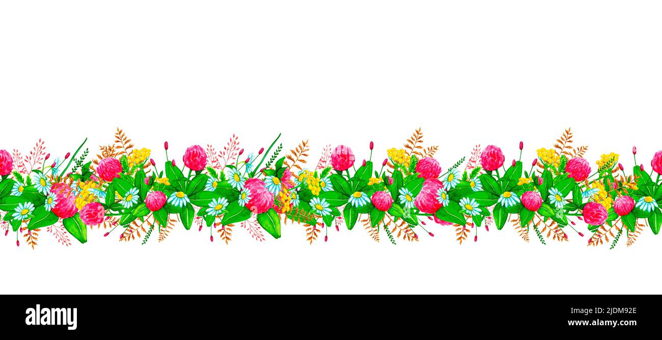 Bordure sans couture avec fleurs sauvages et herbes sauvages. Éléments de conception pour cartes, invitations, affiches, imprimés en tissu, motifs, papeterie, logo, étiquette. Banque D'Images