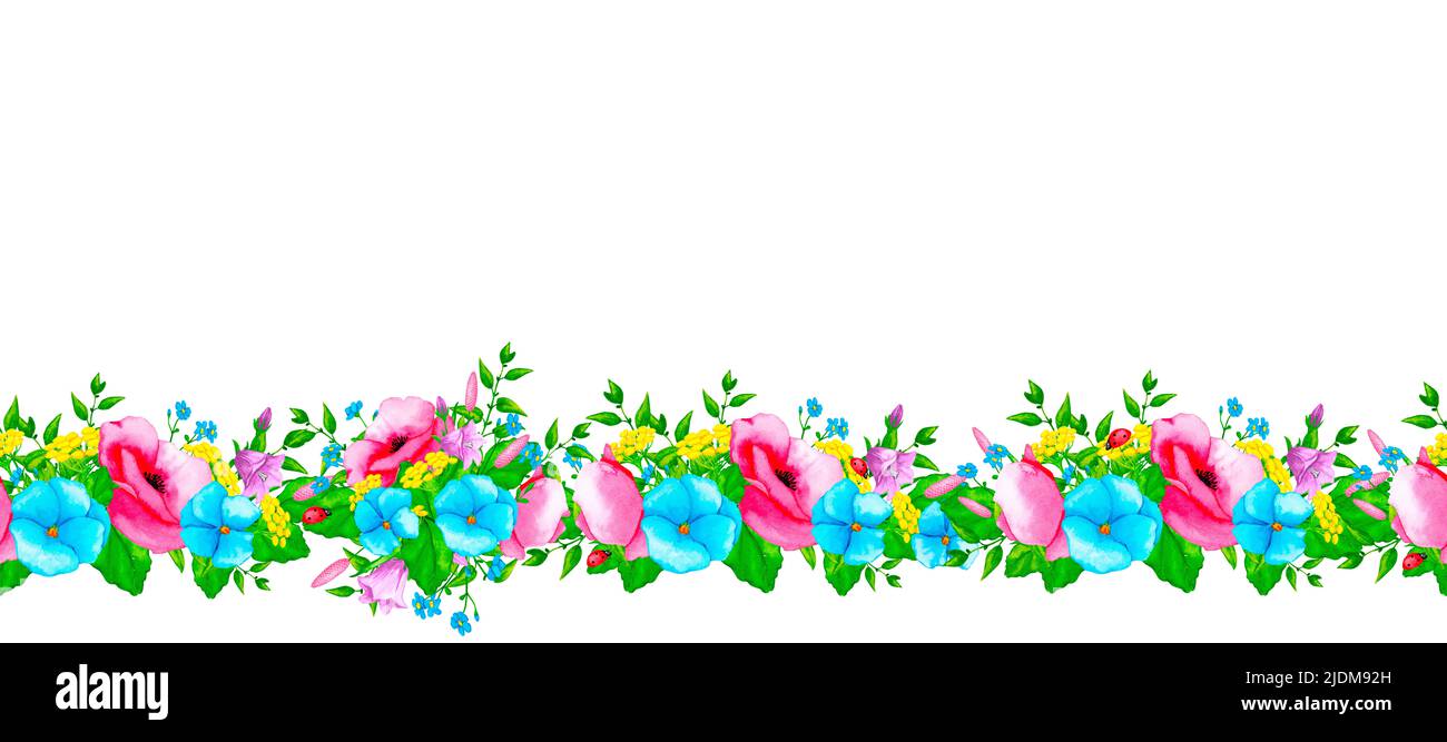 Bordure sans couture avec fleurs sauvages et herbes sauvages. Éléments de conception pour cartes, invitations, affiches, imprimés en tissu, motifs, papeterie, logo, étiquette. Banque D'Images