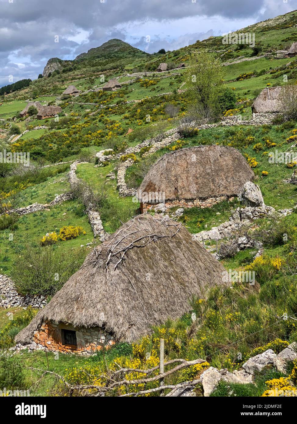 Espagne, Asturies. Braña (Meadow) de Mumian dans le Parc naturel de Somiedo. Banque D'Images