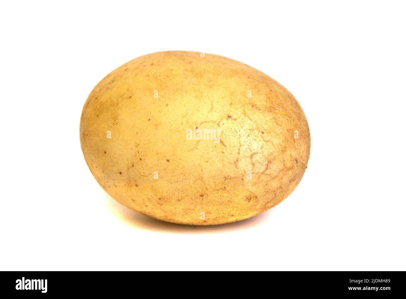 Jeune pomme de terre isolée sur fond blanc. Banque D'Images