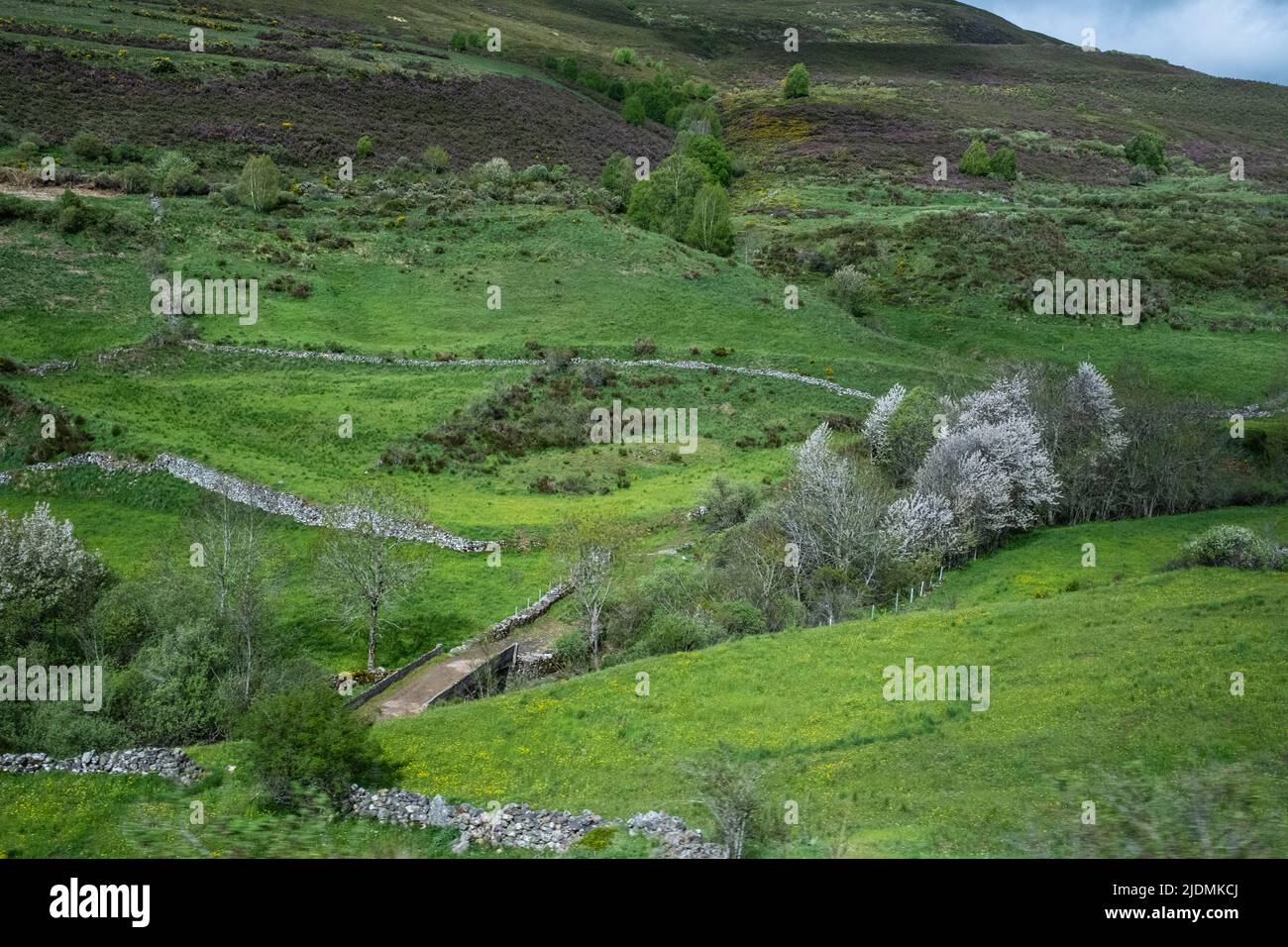 Espagne, Asturies. Paysage à flanc de colline, Parc naturel de Somiedo. Banque D'Images