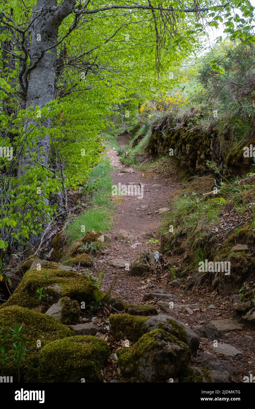 Espagne, Asturies. Sentier des randonneurs, parc naturel de Somiedo, Réserve de biosphère des montagnes Cantabriennes. Banque D'Images