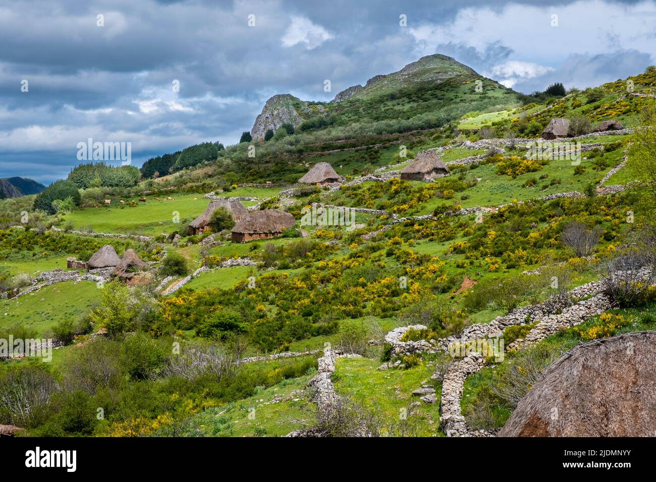 Espagne, Asturies. Braña (Meadow) de Mumian dans le Parc naturel de Somiedo. Les huttes de pierre et de chaume (Teitos) servent d'installations de protection des bovins pendant Banque D'Images