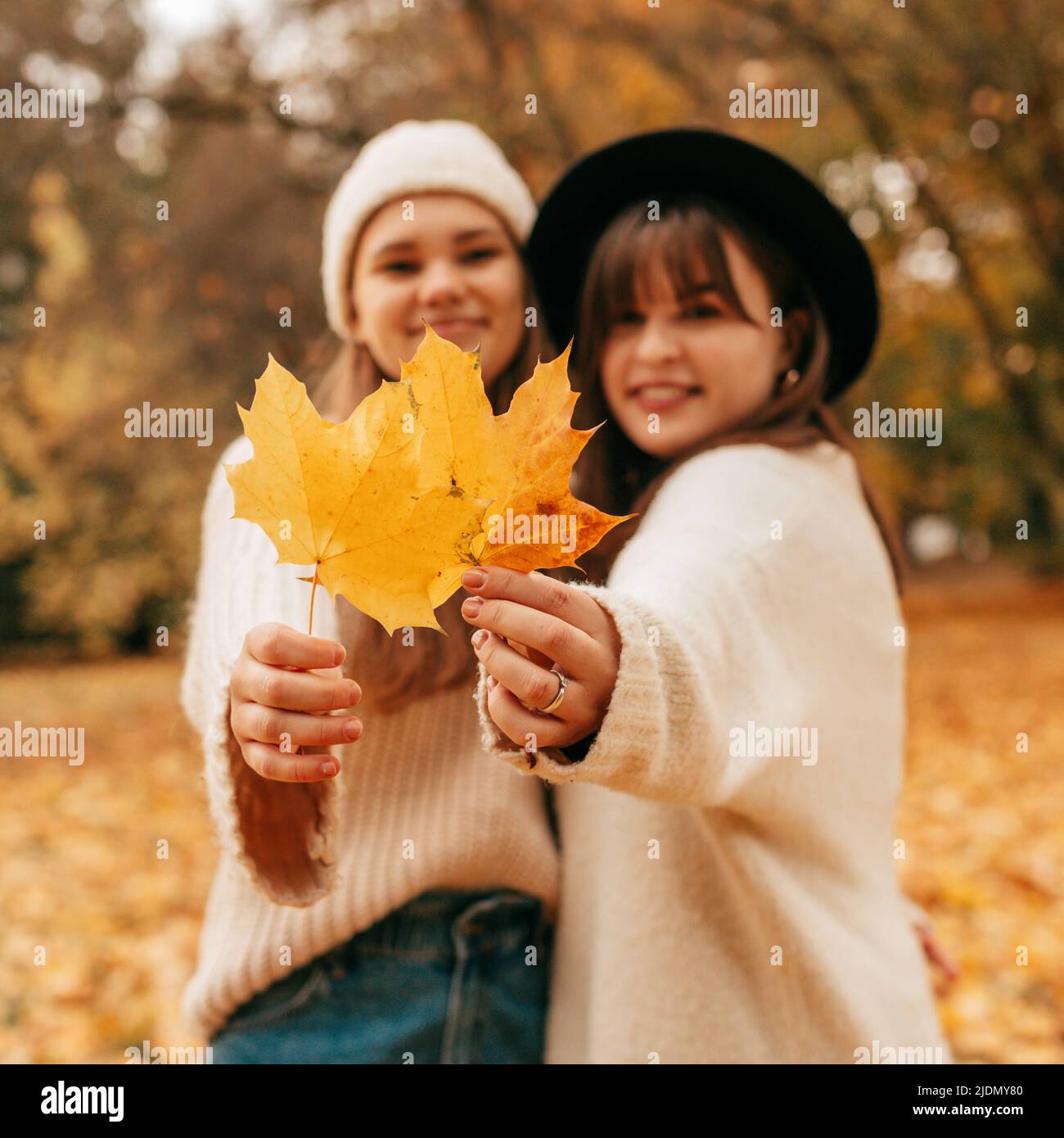 Deux jeunes femmes, non focalisées en arrière-plan, tiennent les feuilles d'érable jaune dans leurs mains et les tiennent à l'appareil photo. Automne doré. Vacances Banque D'Images