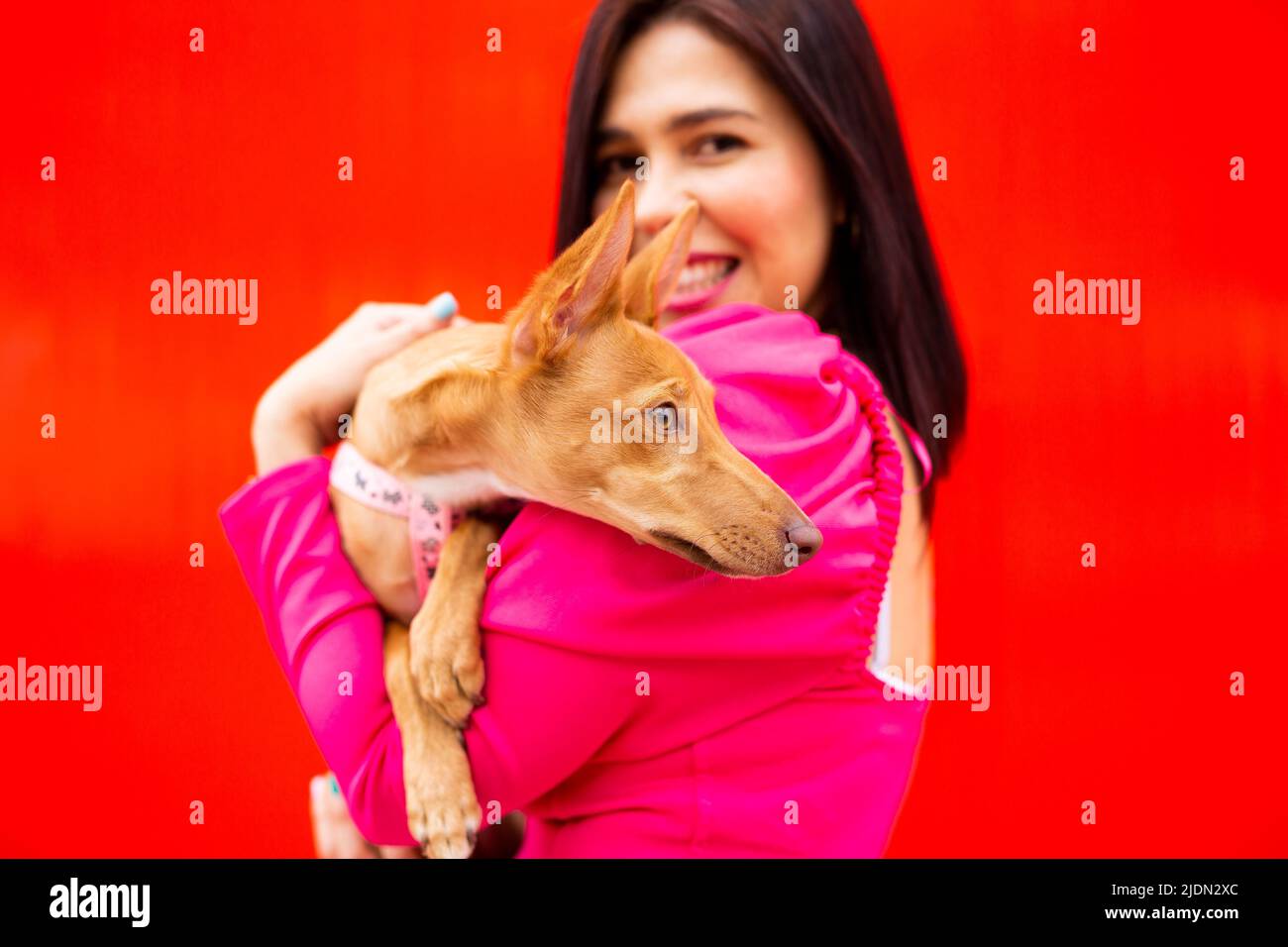 Jeune brune tenant un jeune chien brun sur ses bras sur un fond rouge Banque D'Images Jeune brune tenant un jeune chien brun sur ses bras sur un fond rouge Banque D'Images