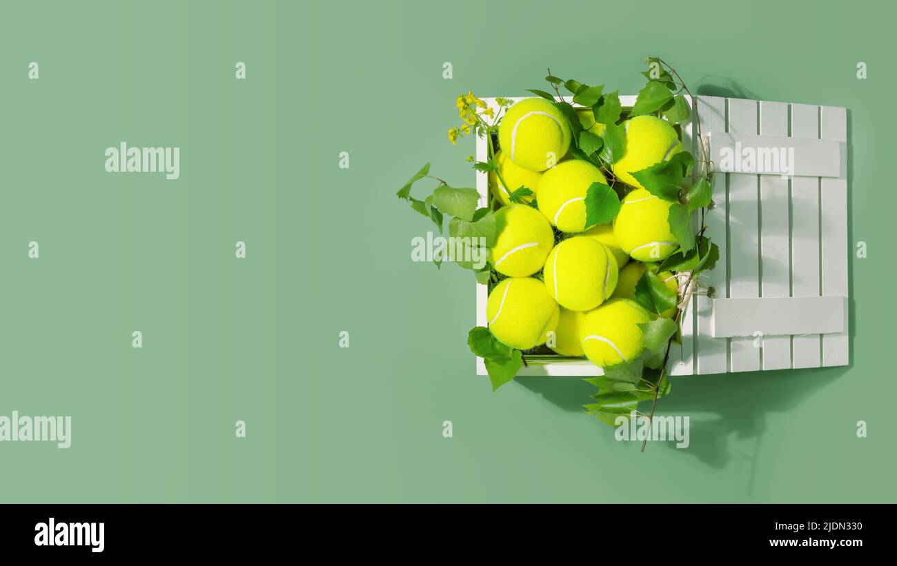 Bannière de tennis jaune, balles de tennis dans une boîte blanche en bois avec branches vertes sur fond vert avec espace de copie. Été, compétition de tennis. Banque D'Images