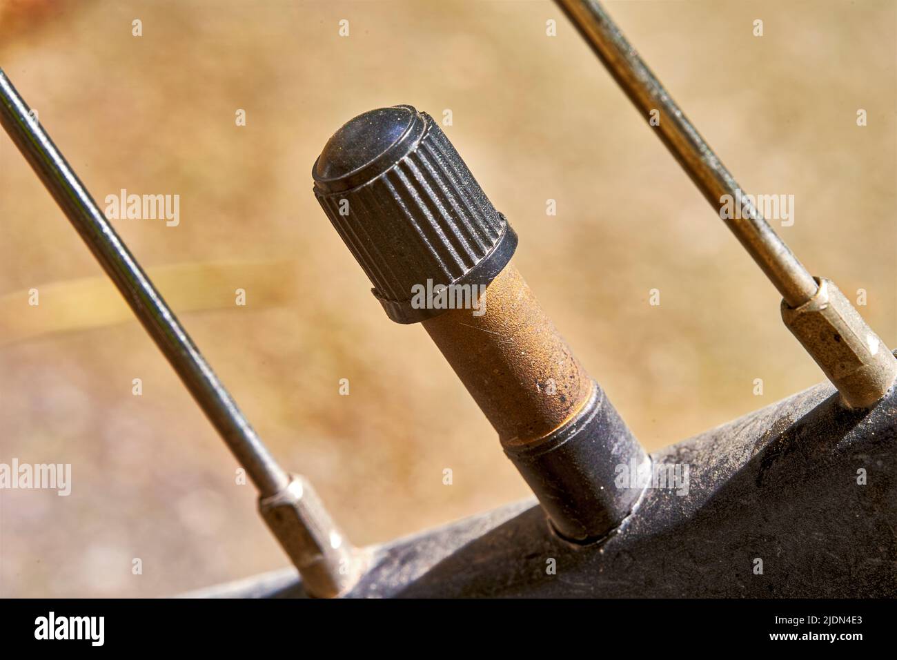 Macro-image de la soupape d'admission d'air sur le bord d'une bicyclette Banque D'Images