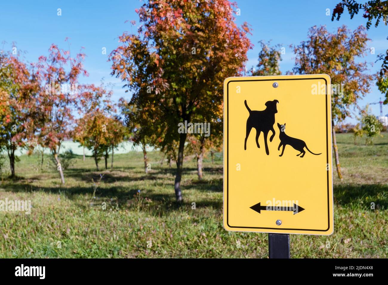 Zone de marche des animaux, panneau jaune dans le parc Banque D'Images