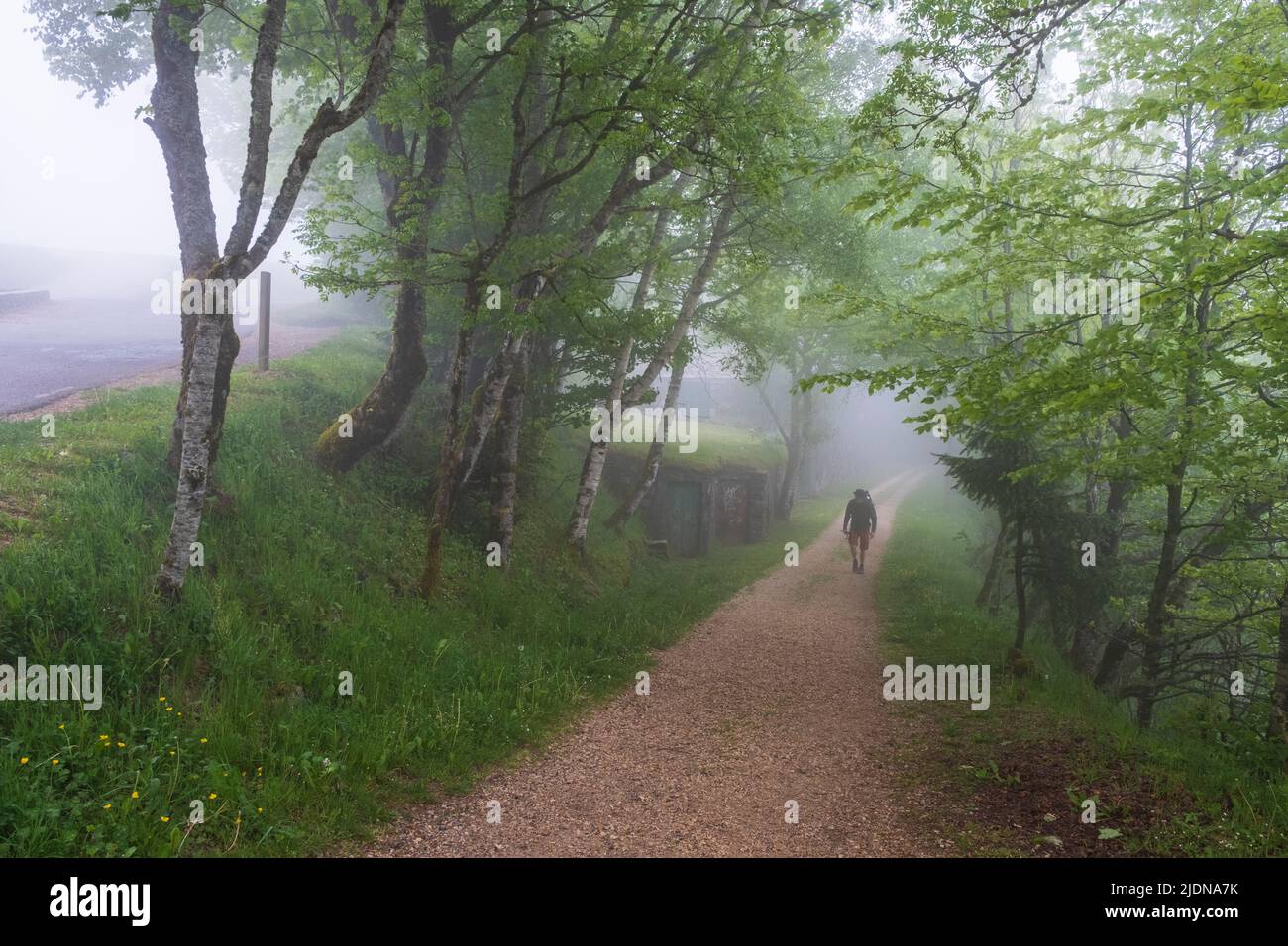 Espagne, Galice. Randonnée à l'approche d'O Cebreiro le matin d'un brouillard. Premier village de Galice sur le Camino de Santiago, Camino Frances, Pilgrims Way. Banque D'Images