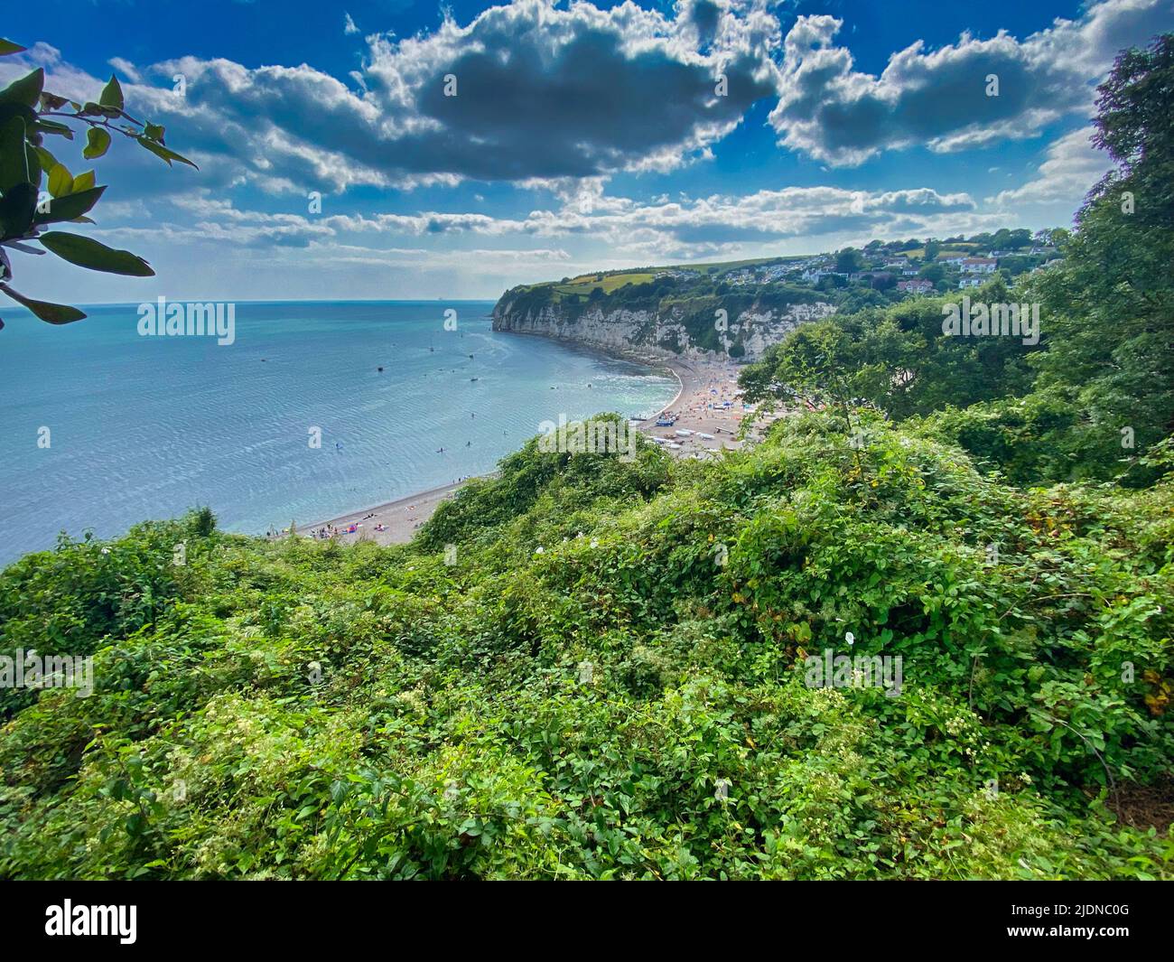 Plage de bière à Devon Banque D'Images