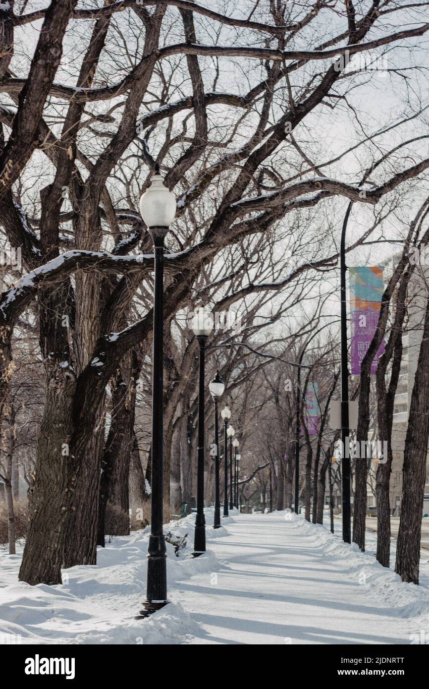Promenade du centre-ville de Saskatoon en hiver Banque D'Images