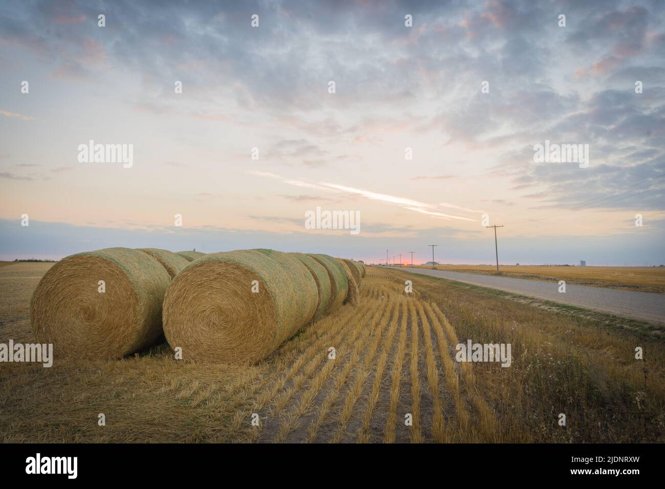 Balles de foin dans la ville de Saskatoon Banque D'Images