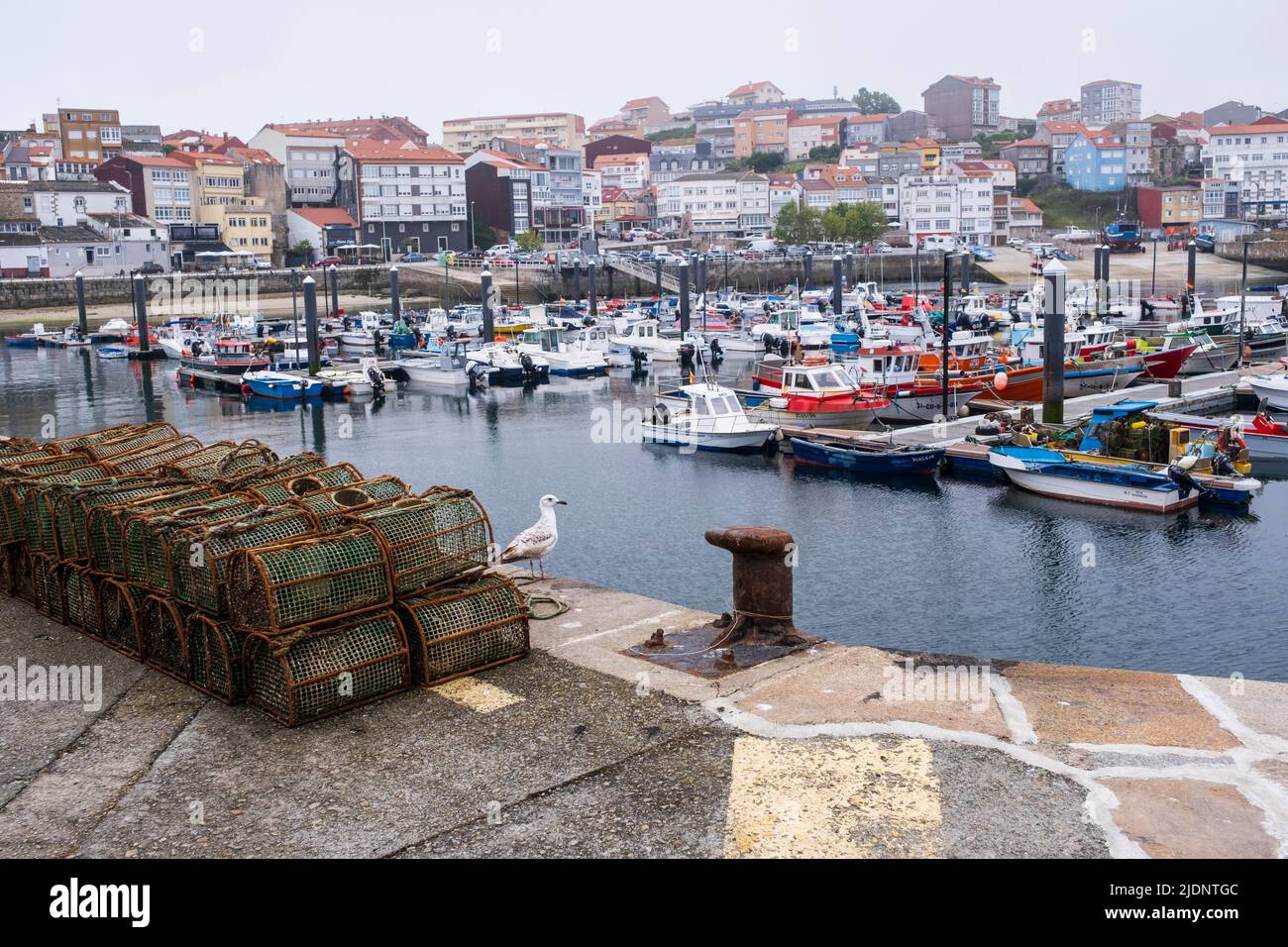 Espagne, Galice, Finisterre (Gallego: Fisterra) petit port de bateau. Banque D'Images