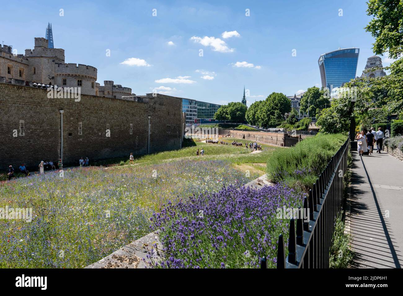 Le fossé de la Tour de Londres a été transformé en un habitat pour la faune au cœur de la ville. La Superbloom est la première année d'une transformation permanente de la douve. La fin de 20 mars millions de graines ont été semées. La couleur de la lande sera remplie de juin à septembre. Banque D'Images