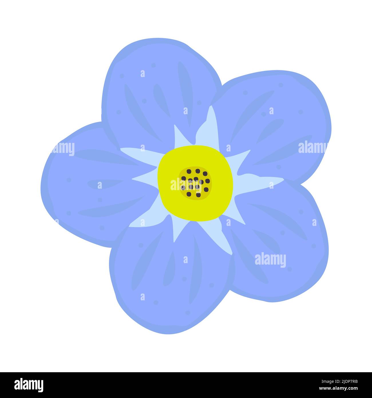 Fleur unique Forget-Me-Not, bouton bleu Illustration de Vecteur