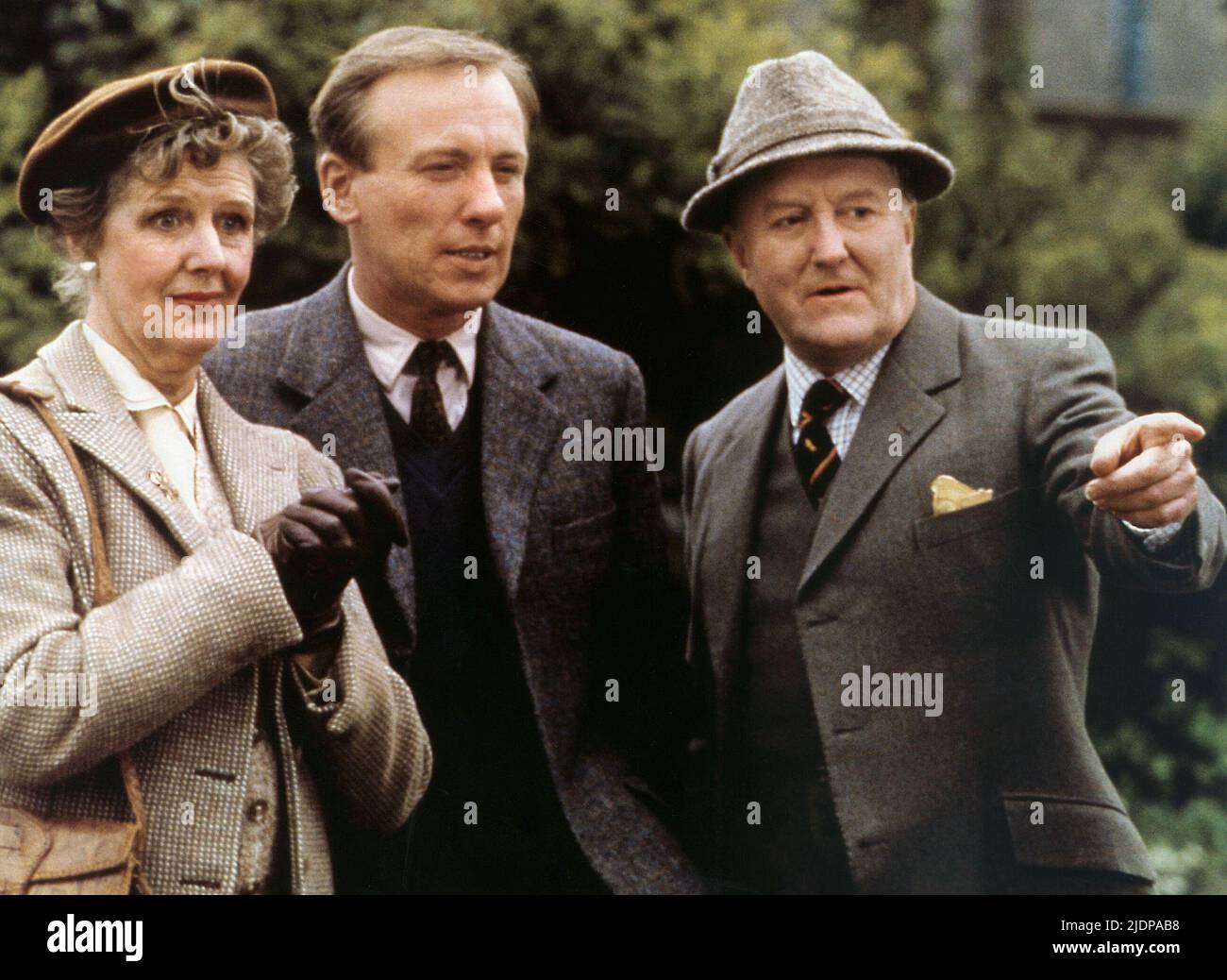 LEWIS,TIMOTHY,HARDY, TOUTES LES CRÉATURES GRANDES ET PETITES, 1988 Banque D'Images