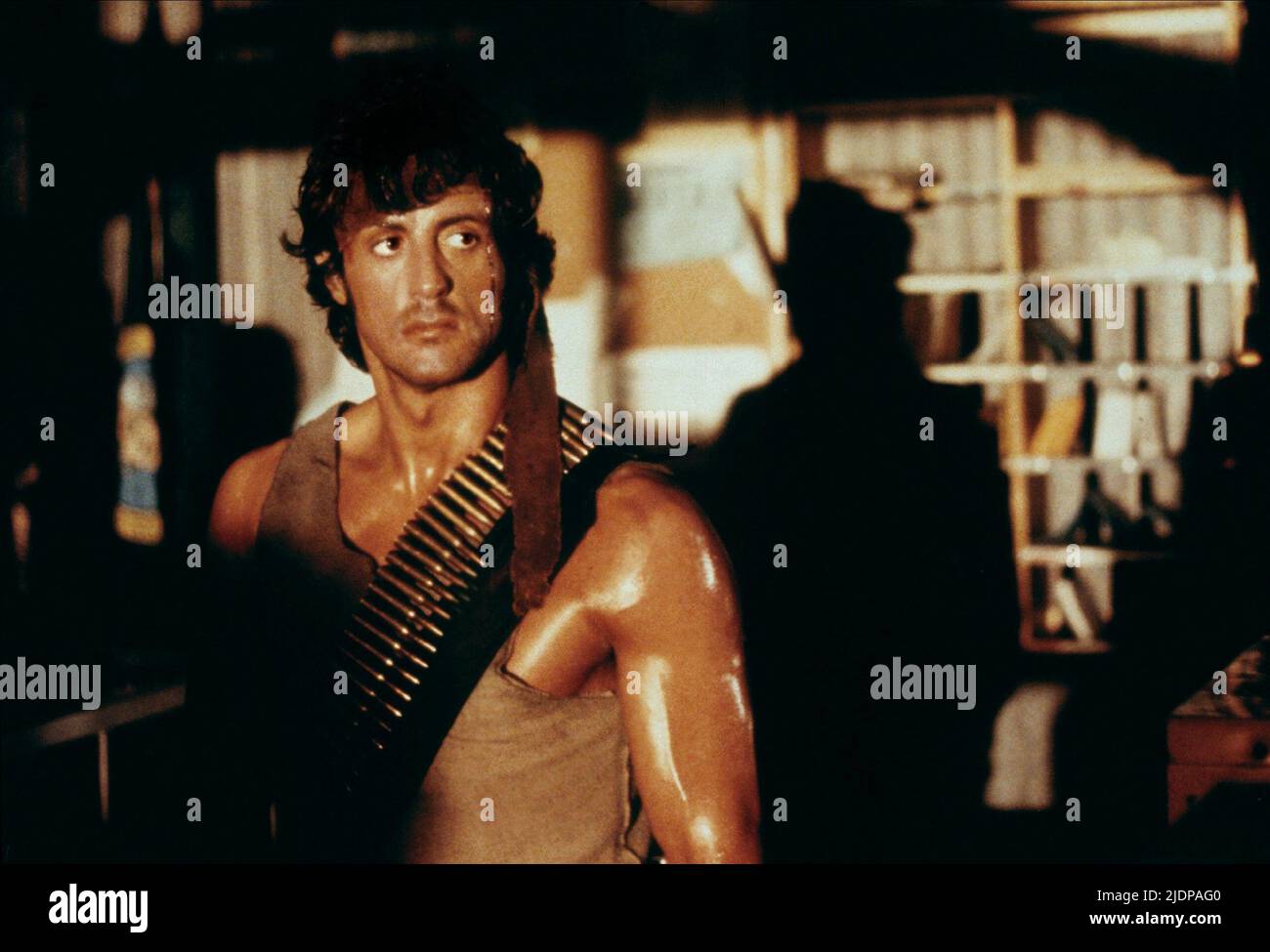 SYLVESTER STALLONE, First Blood, 1982 Banque D'Images