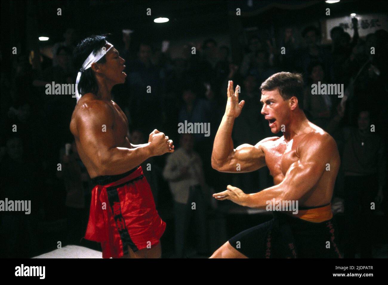 DAMME, YEUNG, BLOODSPORT, 1988 Banque D'Images