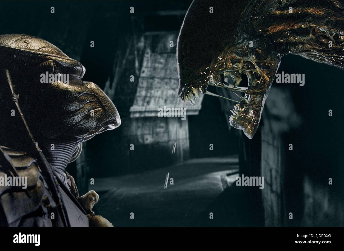 PREDATOR,ALIEN, AVP : Alien VS. Prédateur, 2004 Banque D'Images