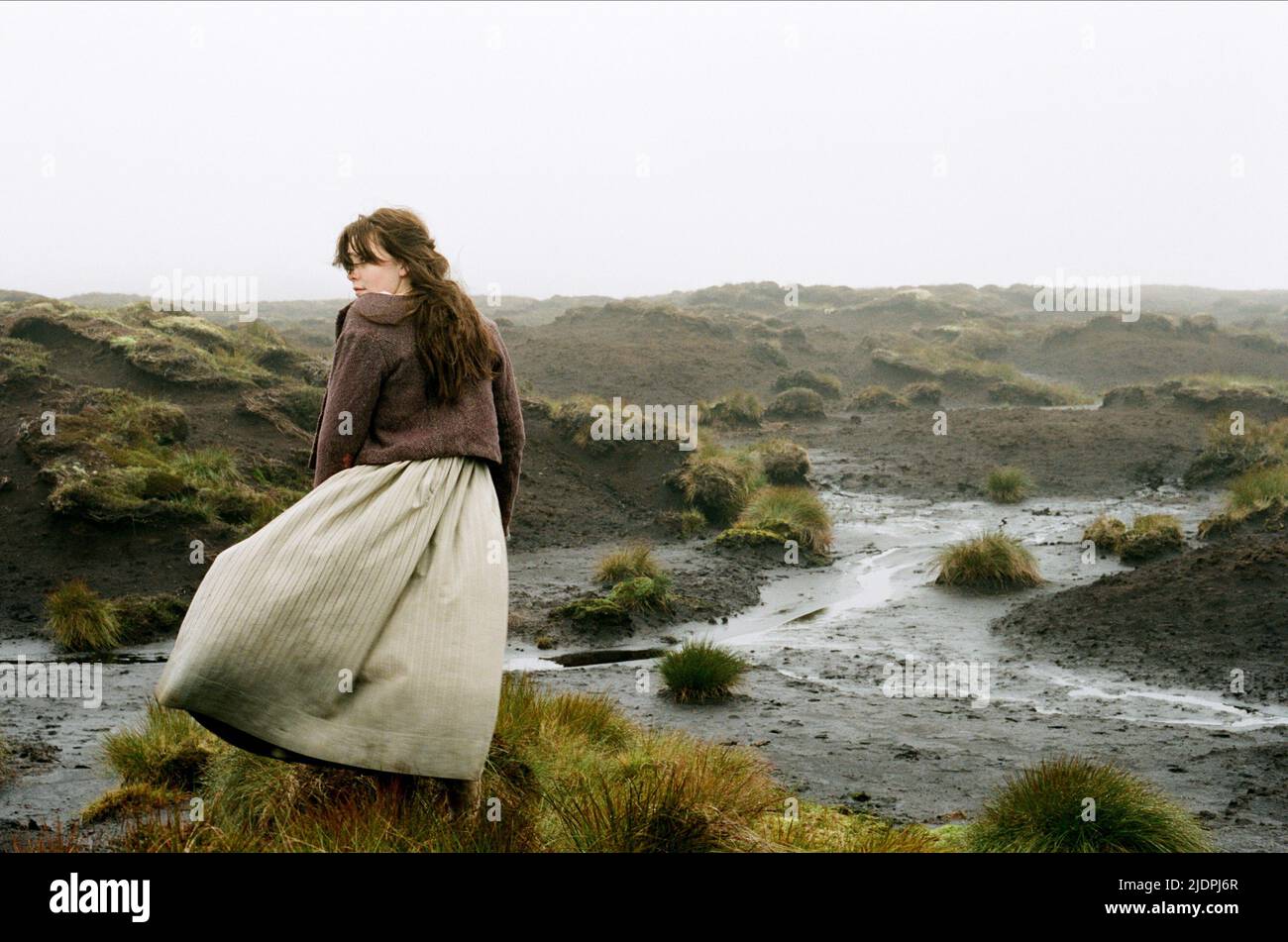 BIÈRE SHANNON, WUTHERING HEIGHTS, 2011, Banque D'Images