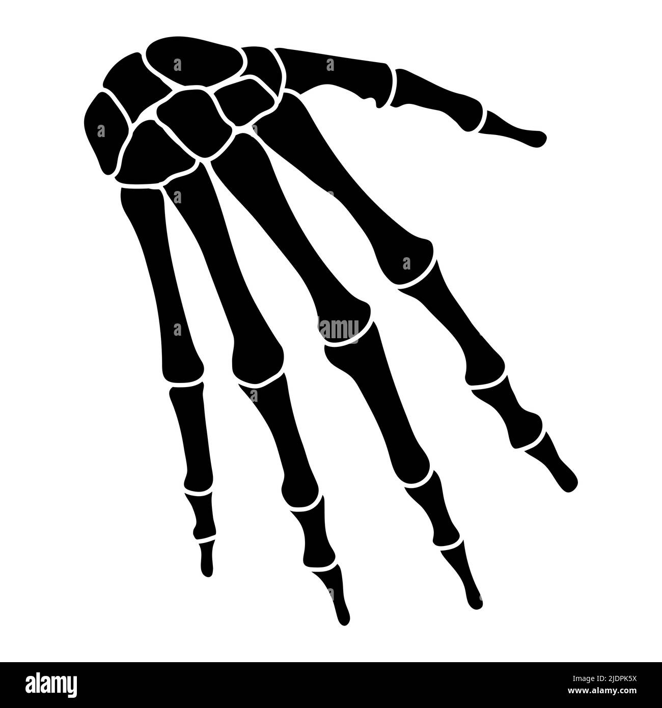 Mains squelette silhouette humaine os du corps - charpels, poignet, métacarpes, phalanges, vue ventrale antérieure avant plat couleur noire concept illustration vectorielle de l'anatomie isolée sur fond blanc Illustration de Vecteur