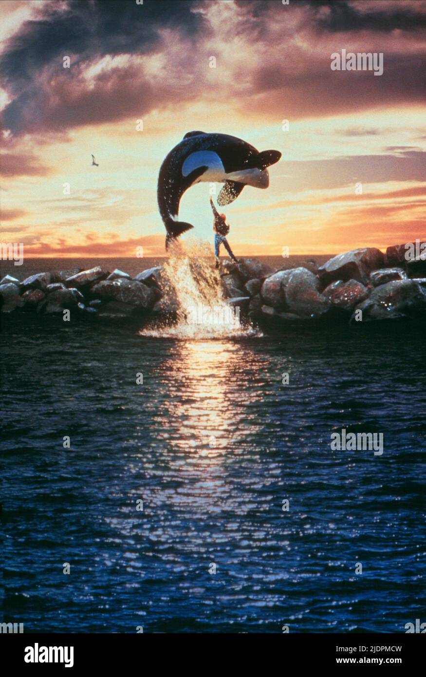 JASON JAMES RICHTER, Free Willy, 1993 Banque D'Images