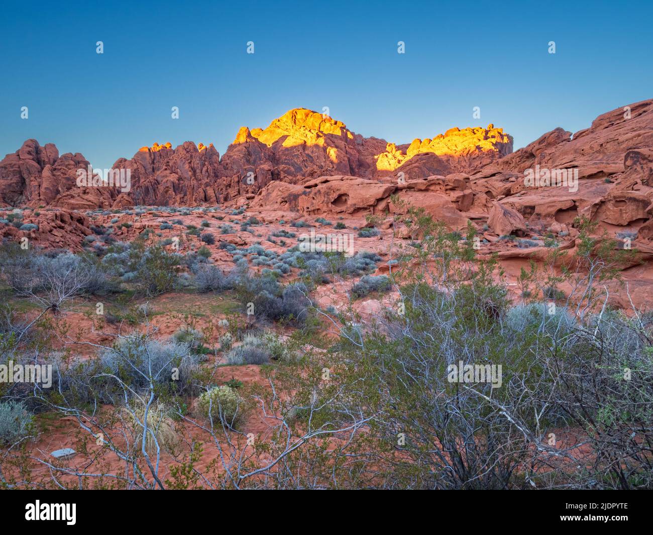 Parc national de la Vallée de feu des affleurements rocheux spectaculaires brillent avec un soleil flamboyant en début de soirée, le phénomène qui donne à la vallée et au parc son nom, le Nevada. Banque D'Images