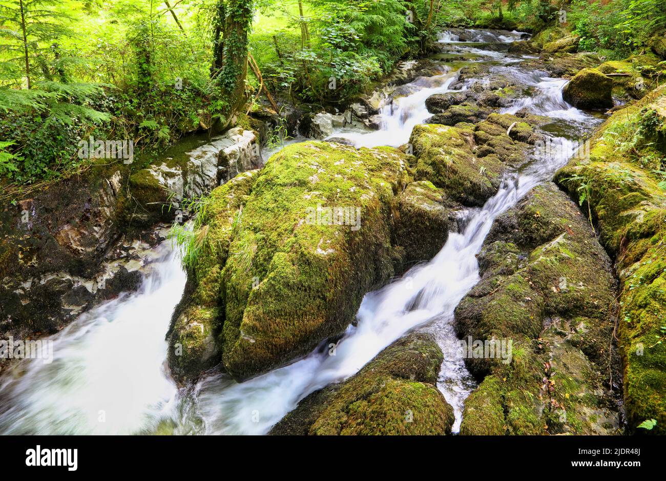 Eau qui coule à travers des pierres couvertes de mousse dans la montagne gallois de Snowdonia Banque D'Images