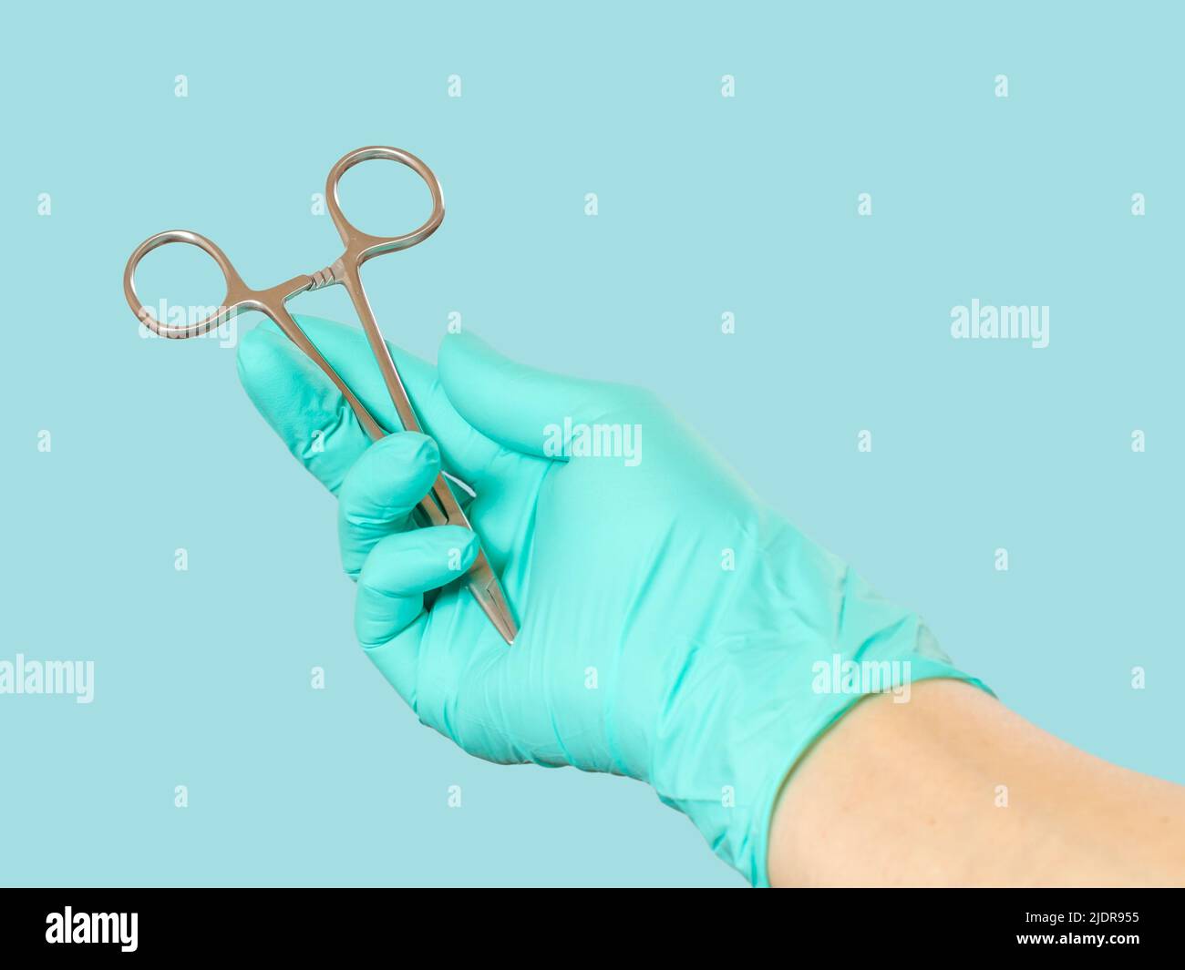 Main de femme dans un gant en latex avec porte-aiguille en acier inoxydable sur menthe verte. Banque D'Images