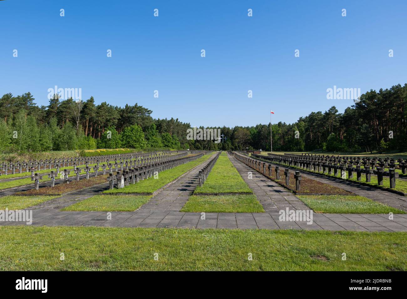 Forêt de Kampinos, Pologne - 26 mai 2022 : cimetière de guerre Palmiry, lieu d'exécution et d'enterrement de plus de 2 mille Polonais, victimes de la terrasse nazie allemande Banque D'Images