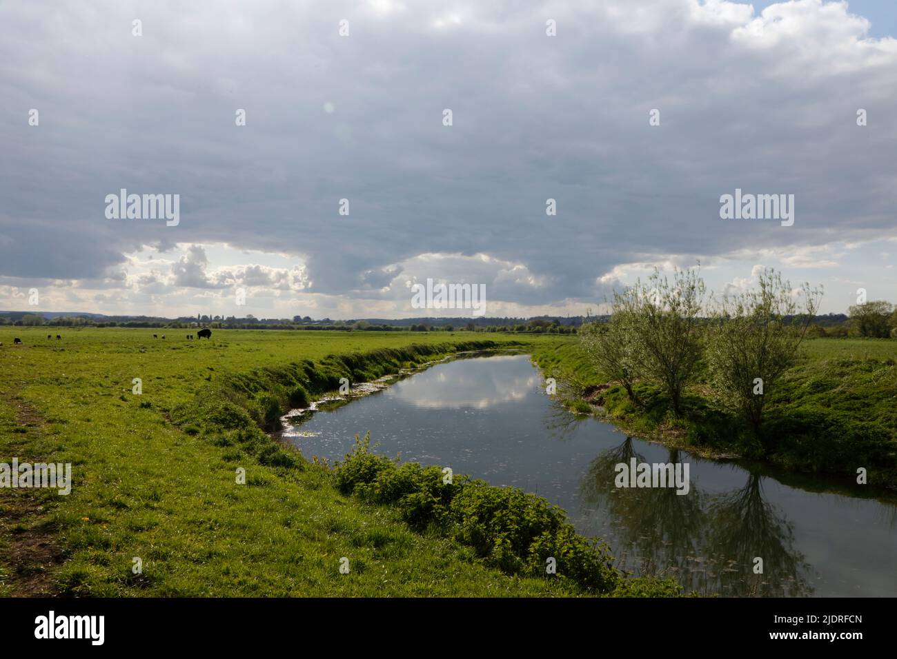 River Parrett à Muchelney, Somerset, Angleterre, Royaume-Uni Banque D'Images