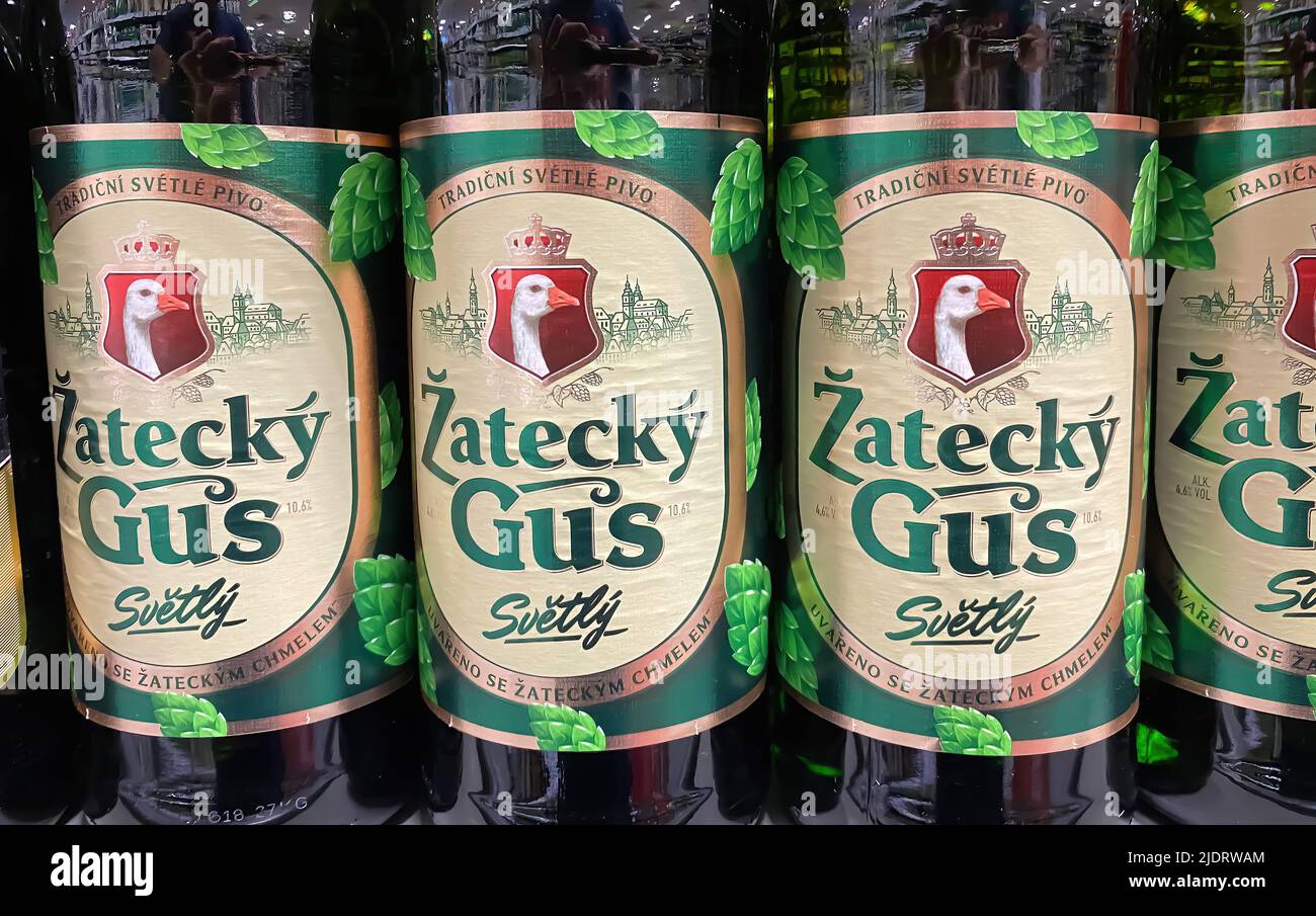 Erkelenz, Allemagne - 9 juin. 2022: Gros plan des bouteilles de bière russe Zatecky Gus dans la tablette du supermarché allemand Banque D'Images