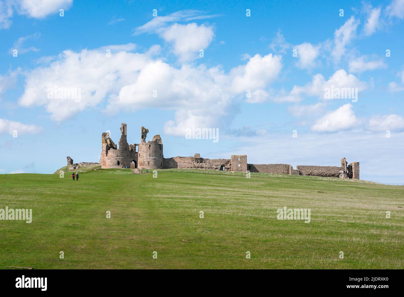 Château de Northumberland, vue en été des ruines du château de Dunstanburgh, situé sur la côte de Northumberland, Angleterre, Royaume-Uni Banque D'Images