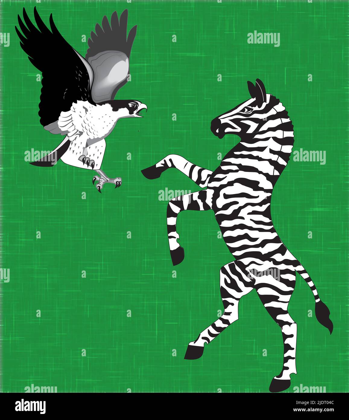 Hakw et zebra sont des combats. Illustration artistique Banque D'Images