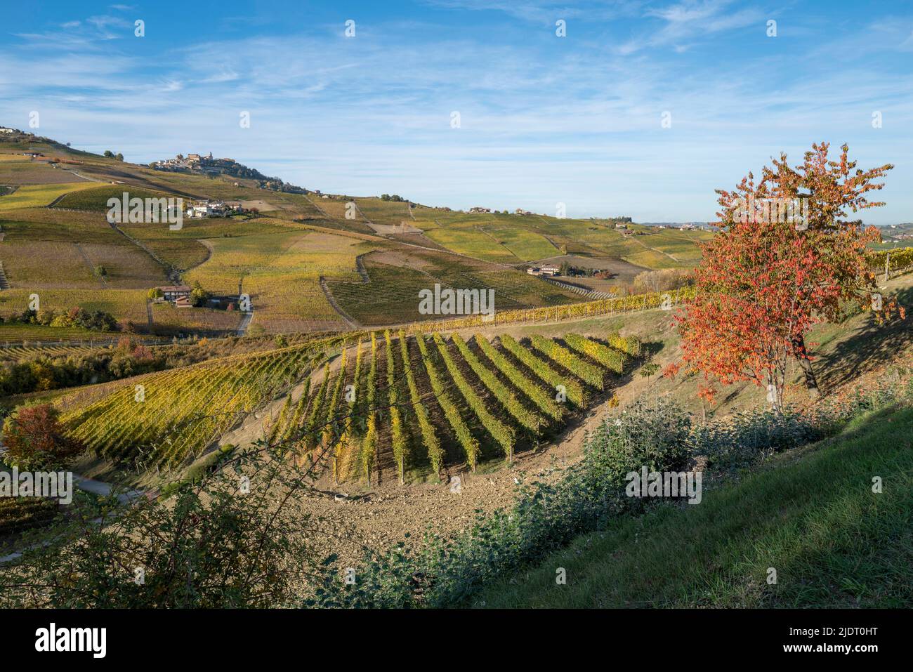 Lumière d'automne dans les vignobles de Barolo, Cuneo au milieu des collines vallonnées et des villages au sommet d'une colline première pointe d'automne dans la région viticole. Banque D'Images