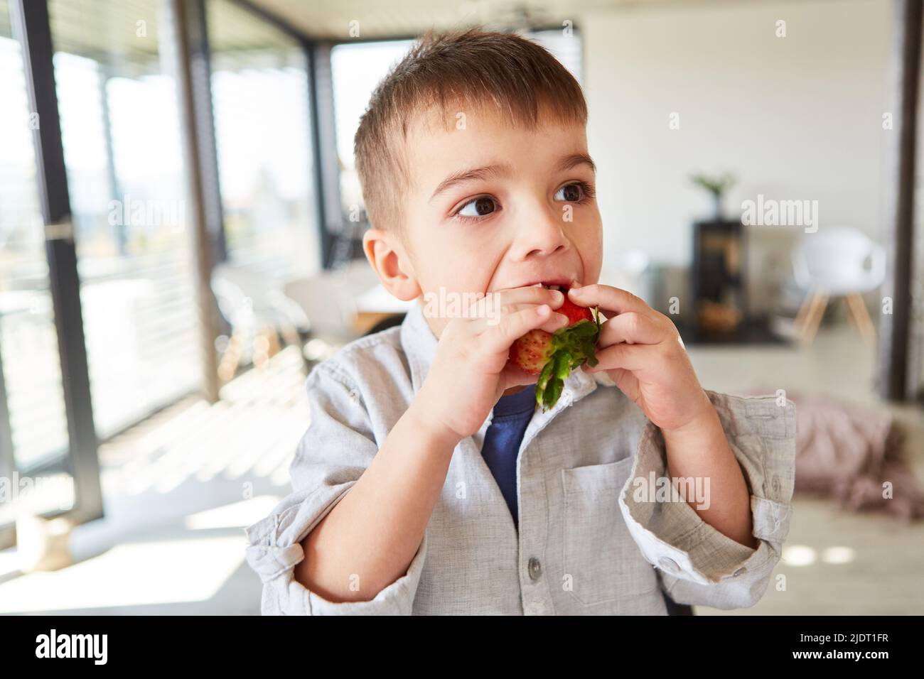 Le petit garçon mange des fraises fraîches pour une alimentation saine et des vitamines dans le salon Banque D'Images