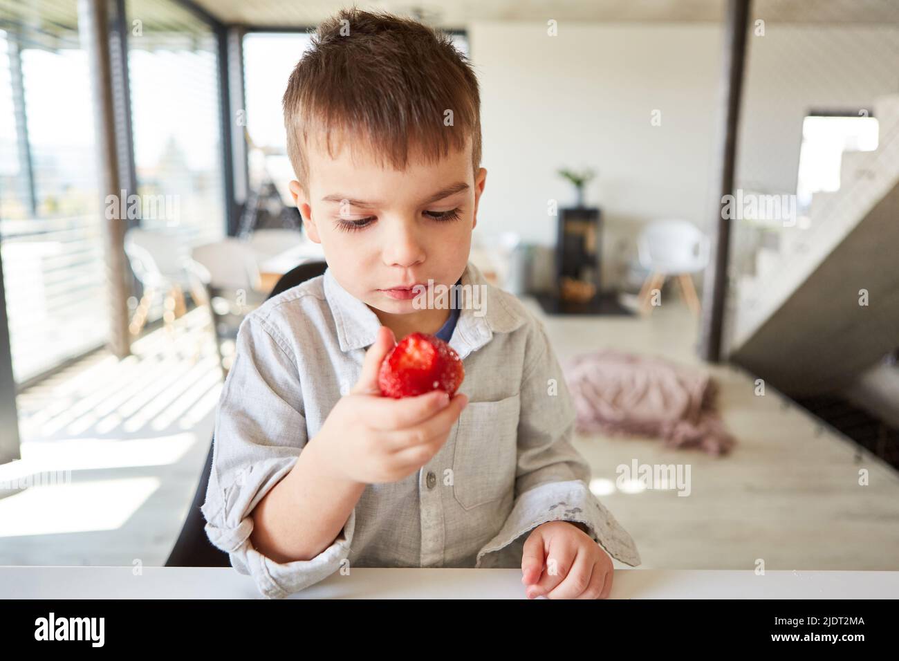 Le petit garçon tient une fraise fraîche dans sa main pour les vitamines et la santé Banque D'Images