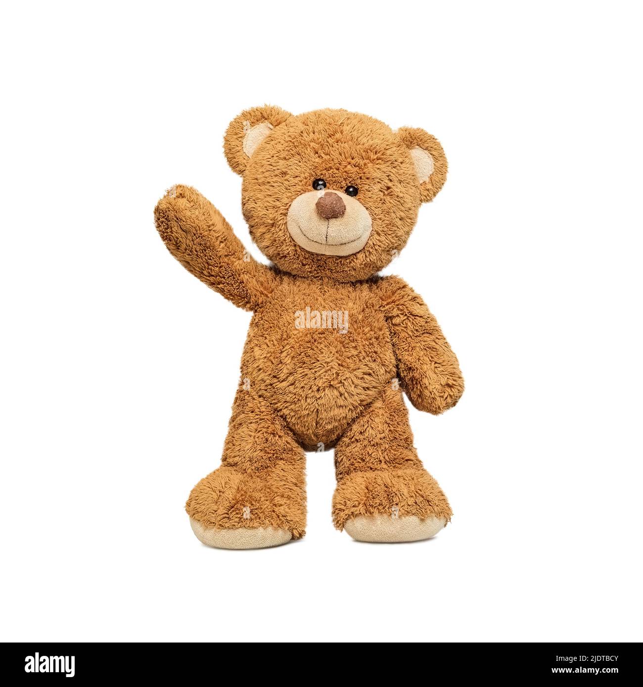 Mignon ours isolé sur fond blanc. Banque D'Images