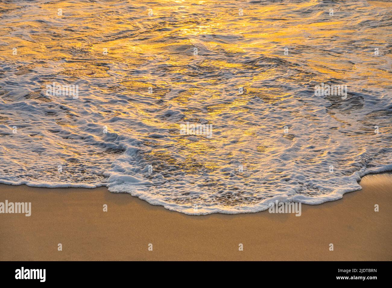 Gros plan sur les vagues calmes de l'océan se lavant sur la plage au coucher du soleil Banque D'Images