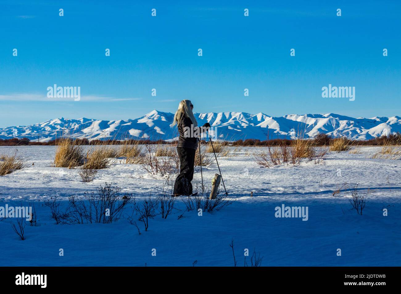 Etats-Unis, Idaho, Bellevue, femme blonde senior raquette dans un paysage enneigé Banque D'Images
