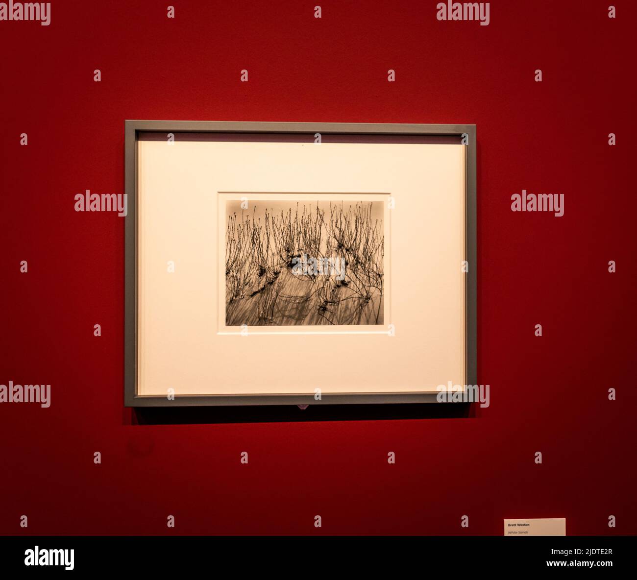 Photographie 'White Sands“1946 du photographe Theodore Brett Weston (1911-1993).photo Festival Brescia- exposition au Musée S. Giulia de Brescia Banque D'Images