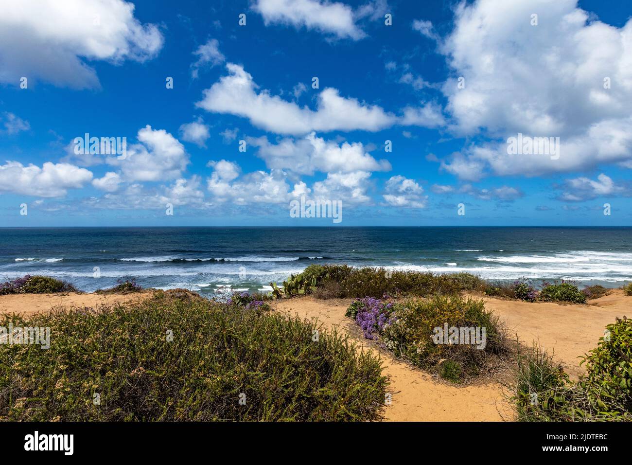 États-Unis, Californie, Torrey Pines, plage de sable en bord de mer Banque D'Images