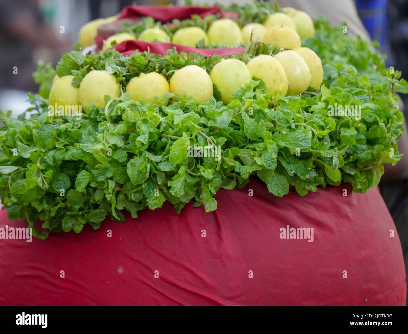 Citrons aux feuilles de menthe pudina. Shikanji une boisson indienne saine faite en mélangeant jus de citron et pudina, en vendant dans les stands de rue indienne Banque D'Images