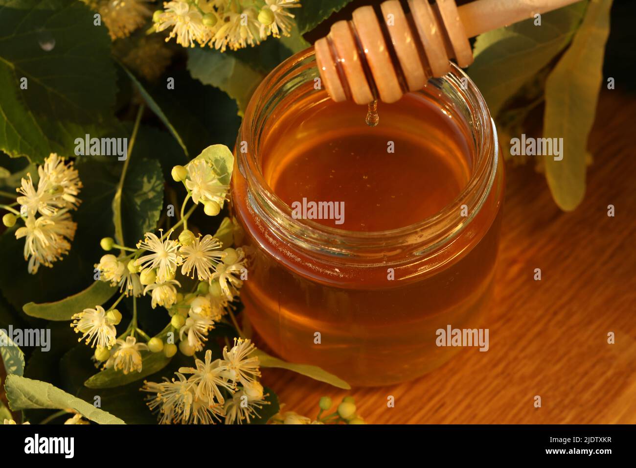 pot de miel de tilleul avec fleur de tilleul Banque D'Images