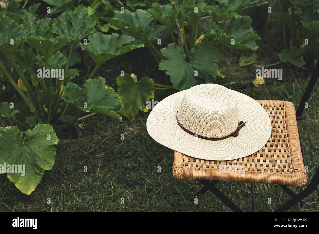 Chapeau d'été pour femmes sur une chaise en osier dans un jardin potager, vie rurale et concept de durabilité Banque D'Images