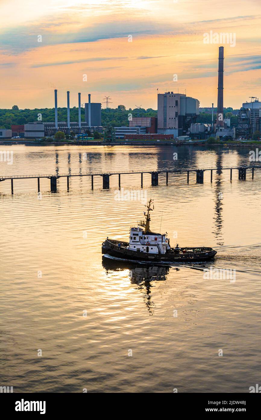 Le remorqueur 'Walross' dans le fjord de Kiel à l'aube, Kiel, Schleswig-Holstein, Allemagne Banque D'Images